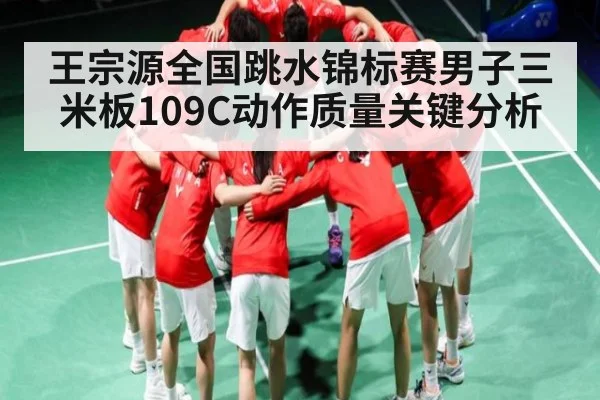 王宗源全国跳水锦标赛男子三米板109C动作质量关键分析